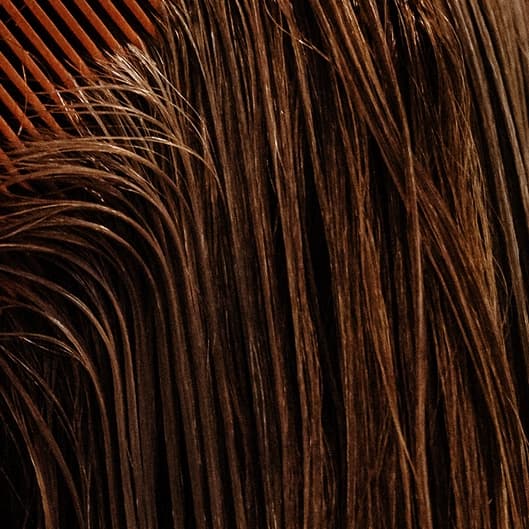 Root Color Package Level 1 at Honeycutts in Plano, TX